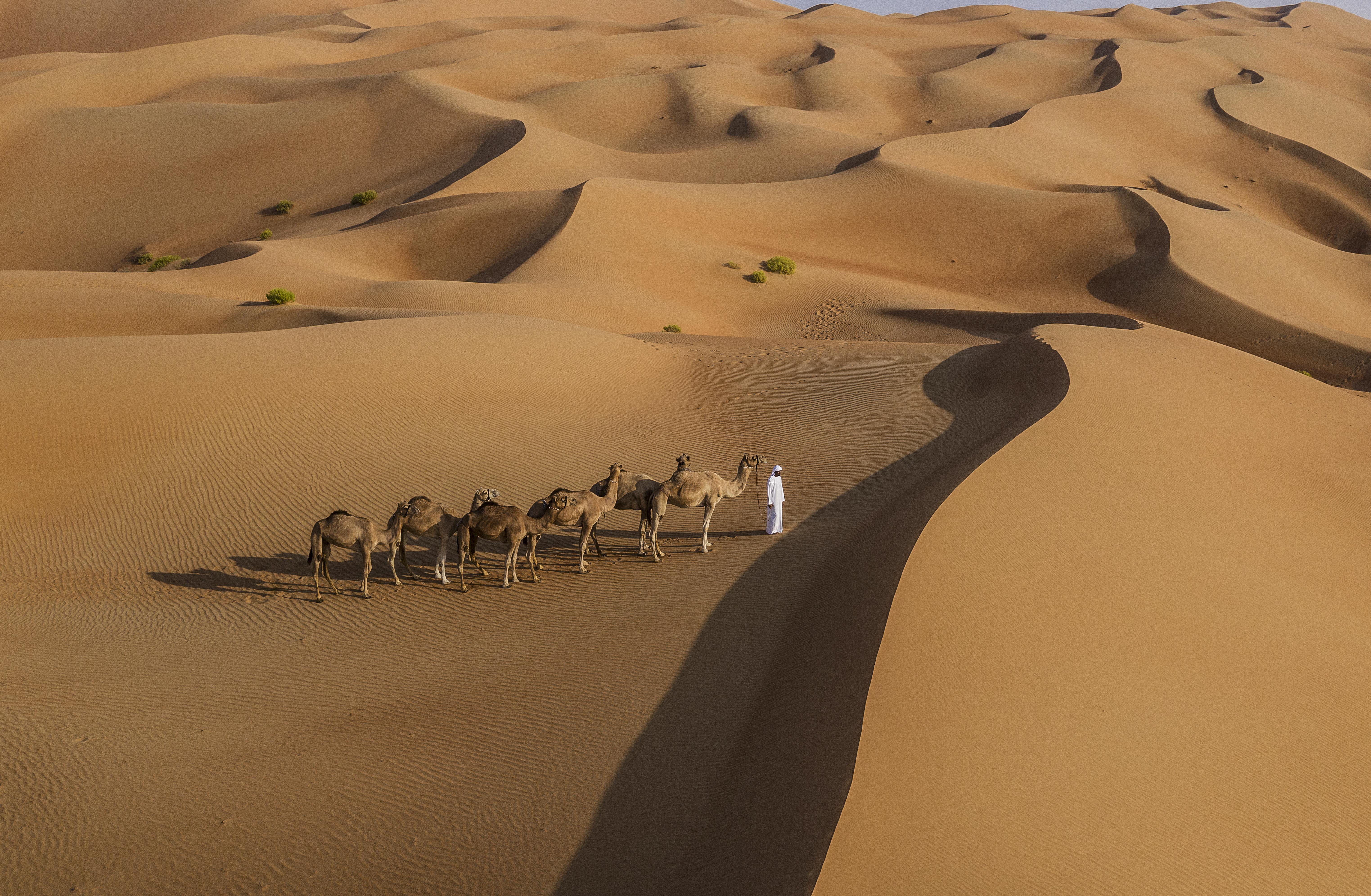 Anantara Qasr Al Sarab Desert Resort Jereirah Kültér fotó
